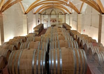 Rhonéa, la coopérative aux 380 artisans vignerons, à la pointe de l’innovation