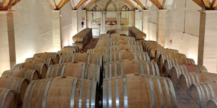 Rhonéa, la coopérative aux 380 artisans vignerons, à la pointe de l’innovation