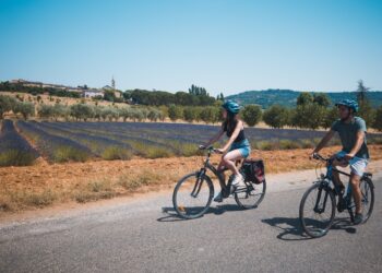 Vélo Loisir Provence : le vélo séduit de plus en plus les touristes