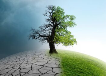 Saint-Rémy-de-Provence : les conséquences du dérèglement climatique sur l’agriculture