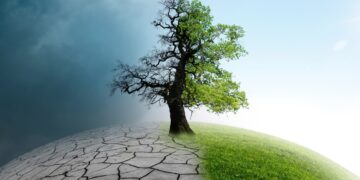 Saint-Rémy-de-Provence : les conséquences du dérèglement climatique sur l&rsquo;agriculture