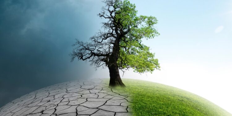 Saint-Rémy-de-Provence : les conséquences du dérèglement climatique sur l’agriculture