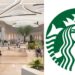 Avignon-Nord : Starbucks devrait ouvrir avant Noël