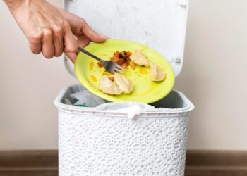 Gaspillage alimentaire, le fléau des fêtes de fin d’année