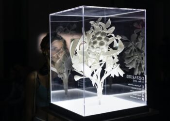 Avignon : le Grenier à sel prolonge son exposition ‘Ce que disent les plantes’