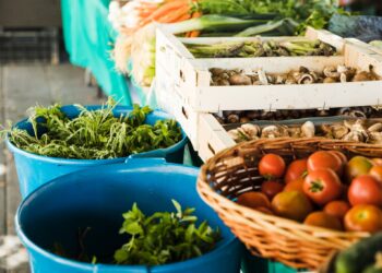 La Ville de Cavaillon déplace son marché hebdomadaire