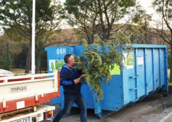 Sorgues : collecte de sapins sur le parking Bouscarle