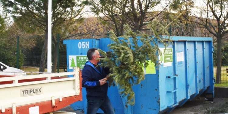 Sorgues : collecte de sapins sur le parking Bouscarle