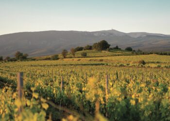 L’AOC Ventoux étend son territoire aux communes de Velleron et L’Isle-sur-la-Sorgue