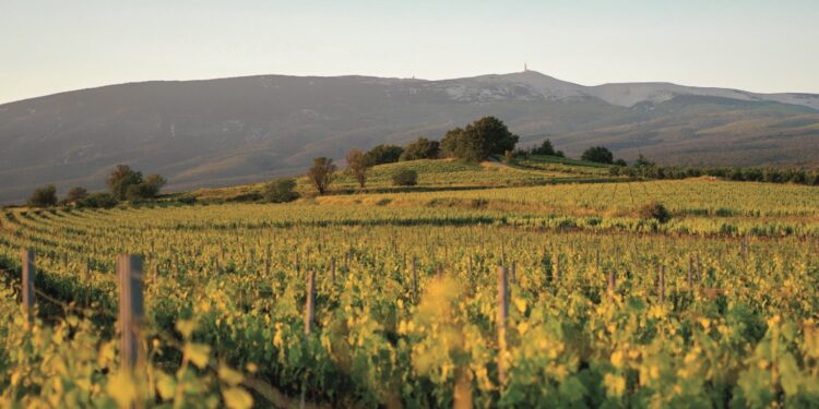 L’AOC Ventoux étend son territoire aux communes de Velleron et L’Isle-sur-la-Sorgue