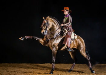 Élégance et émotion pour la 38ème édition du gala des Crinières d’Or