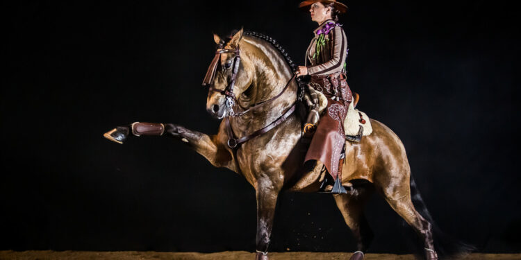 Élégance et émotion pour la 38ème édition du gala des Crinières d’Or