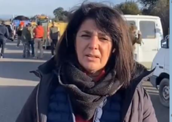 Manifestations agricoles, Georgia Lambertin vent debout