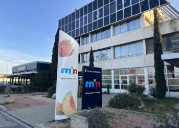 Min de Cavaillon : 2024 sera portée sur l’innovation, l’investissement et le territoire