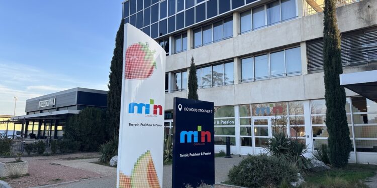Min de Cavaillon : 2024 sera portée sur l’innovation, l’investissement et le territoire
