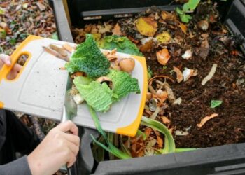 La Cove n’a pas attendu la loi pour la croissance verte pour valoriser les biodéchets