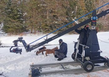 ‘La Station Animation’, le studio avignonnais où sont construits les films de demain