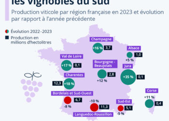 2023, année difficile pour les vignobles du sud