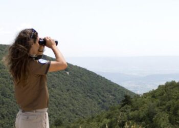 Le Parc du Luberon recrute des jeunes pour sa Garde forestière