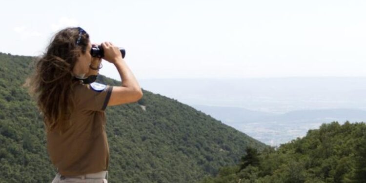 Le Parc du Luberon recrute des jeunes pour sa Garde forestière