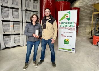 À Cucuron, le retour de la filière amande porte ses fruits 