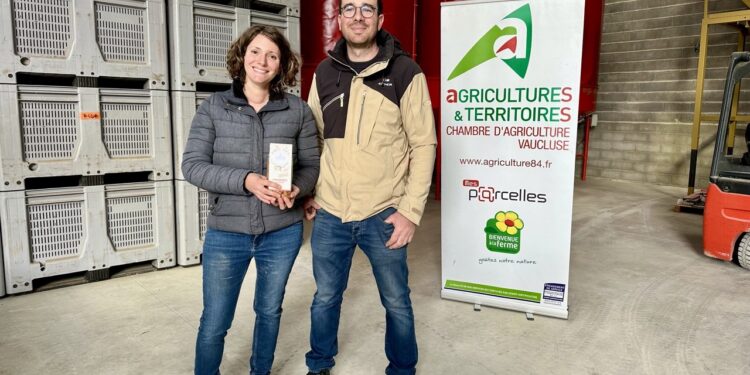 À Cucuron, le retour de la filière amande porte ses fruits 