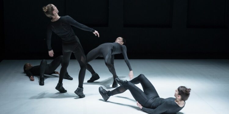 Les Hivernales, le traditionnel festival de la danse en hiver aura lieu du 14 février au 2 mars