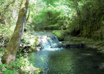 Exposition : A la découverte de l’eau dans le Luberon