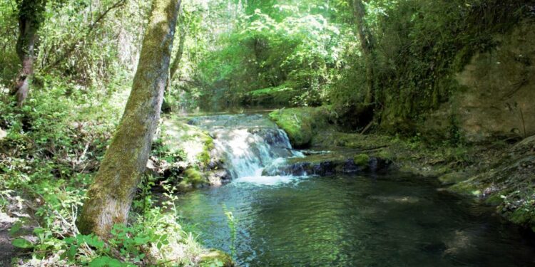 Exposition : A la découverte de l’eau dans le Luberon
