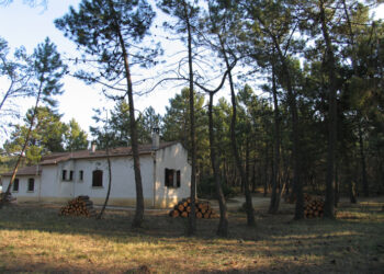 La Ville de L’Isle-sur-la-Sorgue fait de la prévention sur le débroussaillement