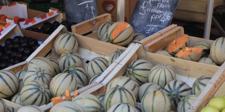 Le marché des producteurs de Cavaillon fait son retour