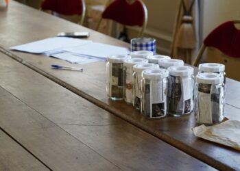 La Ville de Carpentras annule la vente de pièges à frelons asiatiques du samedi 16 mars