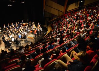 Ludwig Van Beethoven dans tous ses états