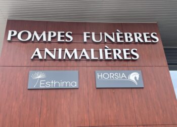 Esthima à Nîmes, pour en savoir plus sur les pompes funèbres animalières