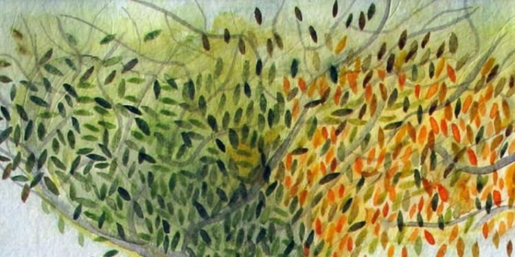 Montfavet, l’appel à candidatures pour les petites formes c’est maintenant !