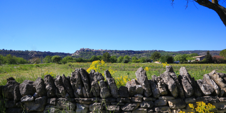 Pierre Sèche de la région Sud, Volubilis lance sa cartographie patrimoniale