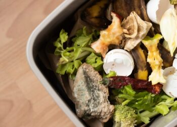 Réseau Compost Citoyen Paca : 1re rencontre départementale sur la gestion de proximité des biodéchets  