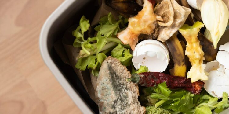 Réseau Compost Citoyen Paca : 1re rencontre départementale sur la gestion de proximité des biodéchets