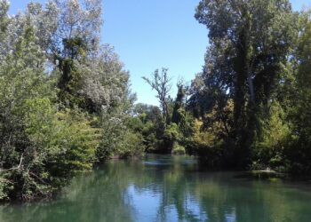 Bassin des Sorgues : une étude des eaux souterraines sans précédent sur la plaine des Sorgues