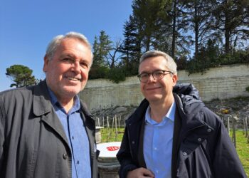 Rejet de la ratification du CETA au Sénat : les viticulteurs et le sénateur Jean-Baptiste Blanc hors d’eux