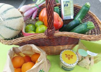 Vaucluse : retour des marchés du soir des producteurs