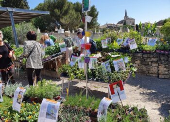 Caumont fête l’arrivée du mois de mai tout en fleurs et en plantes