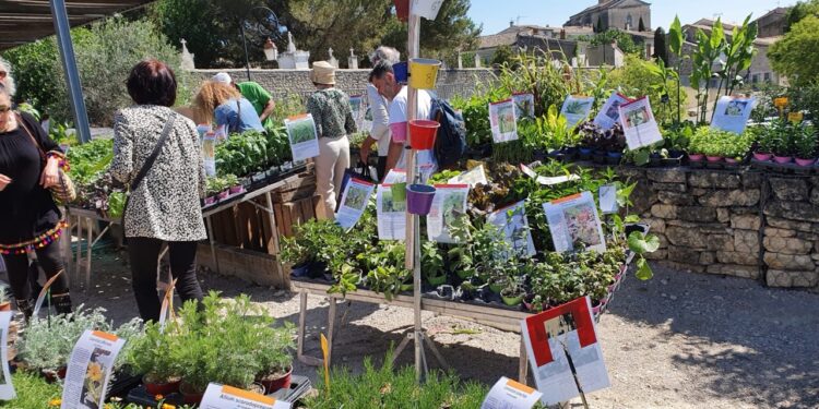 Caumont fête l’arrivée du mois de mai tout en fleurs et en plantes
