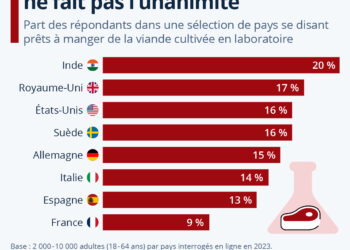 La viande cultivée en laboratoire ne fait pas l’unanimité