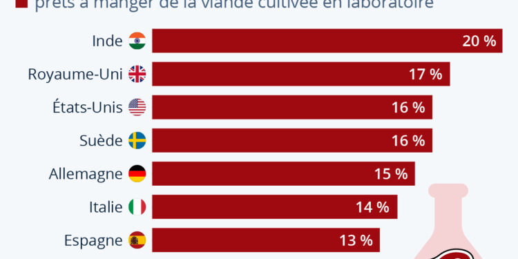 La viande cultivée en laboratoire ne fait pas l’unanimité