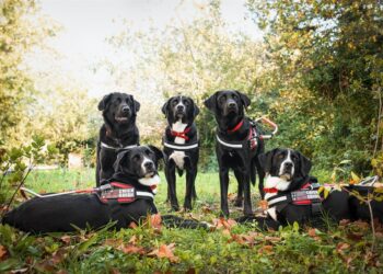 La Fondation Frédéric Gaillanne organise un loto géant à l’Isle-sur-la-Sorgue