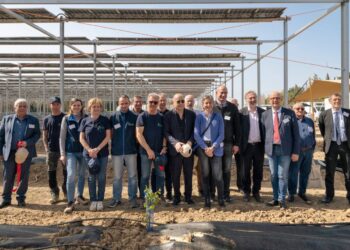 Le premier dispositif agrivoltaïque sur cultures d’abricots bio est à Cavaillon