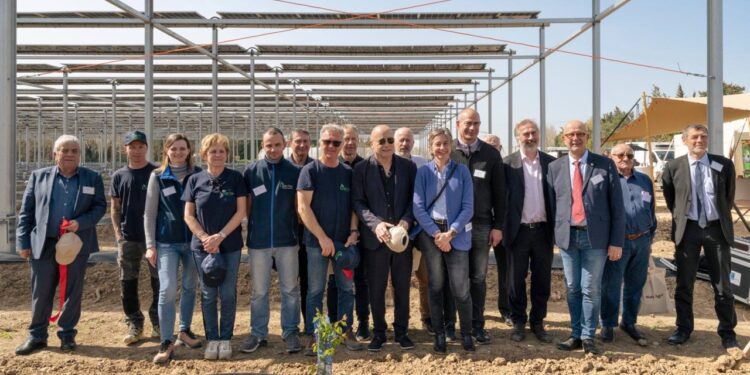 Le premier dispositif agrivoltaïque sur cultures d’abricots bio est à Cavaillon