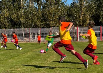 100 jours avant les Jo : l’Insee dresse le panorama du sport dans la région Sud