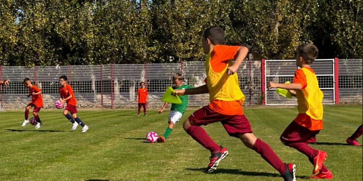 100 jours avant les Jo : l’Insee dresse le panorama du sport dans la région Sud